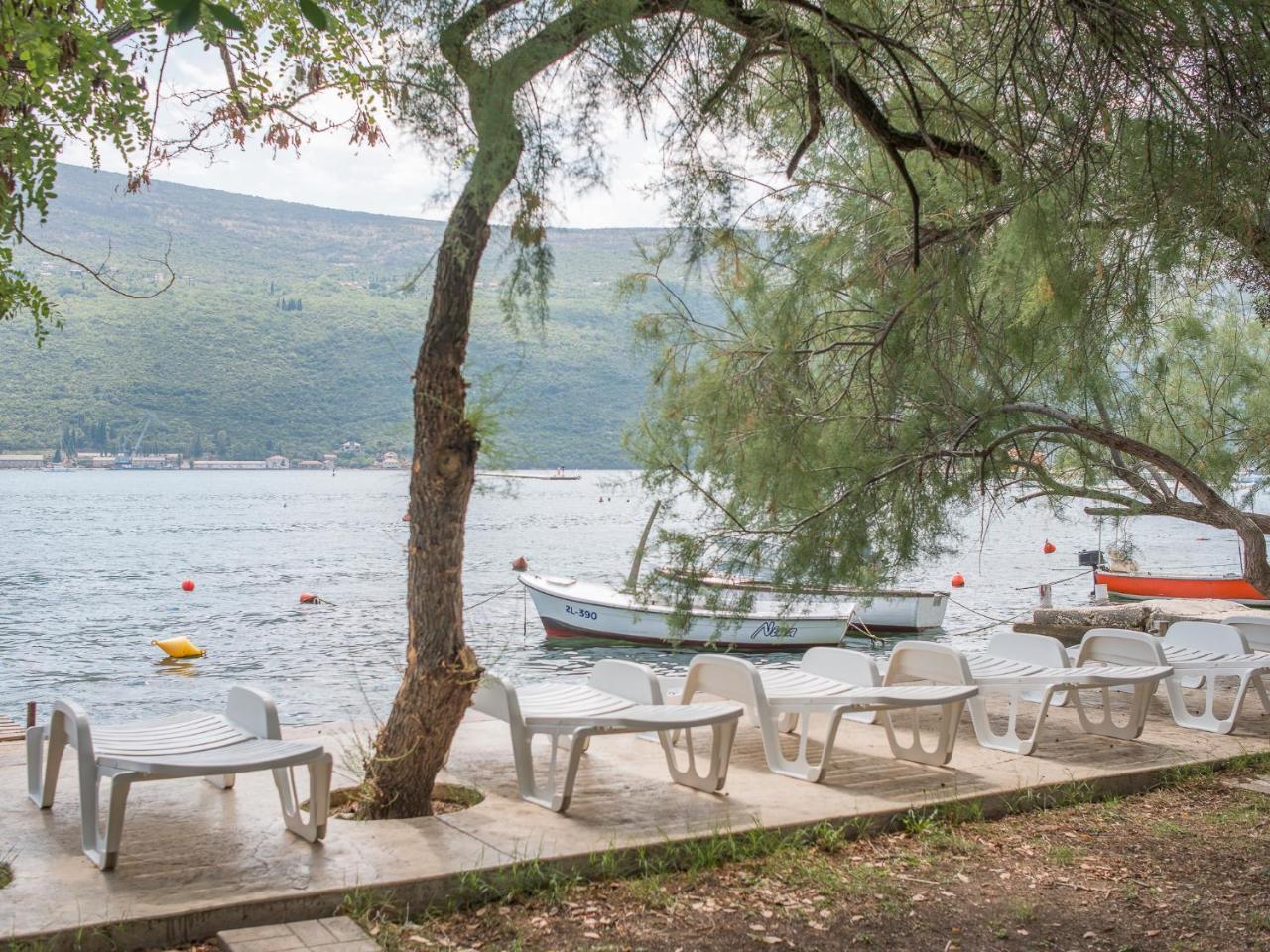 Riva Residence Ðenovići Eksteriør bilde