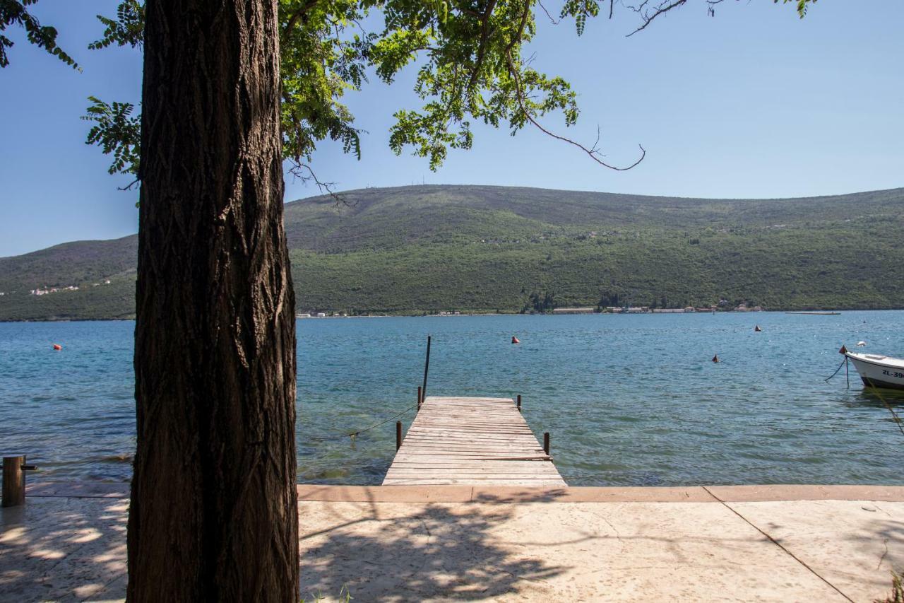 Riva Residence Ðenovići Eksteriør bilde